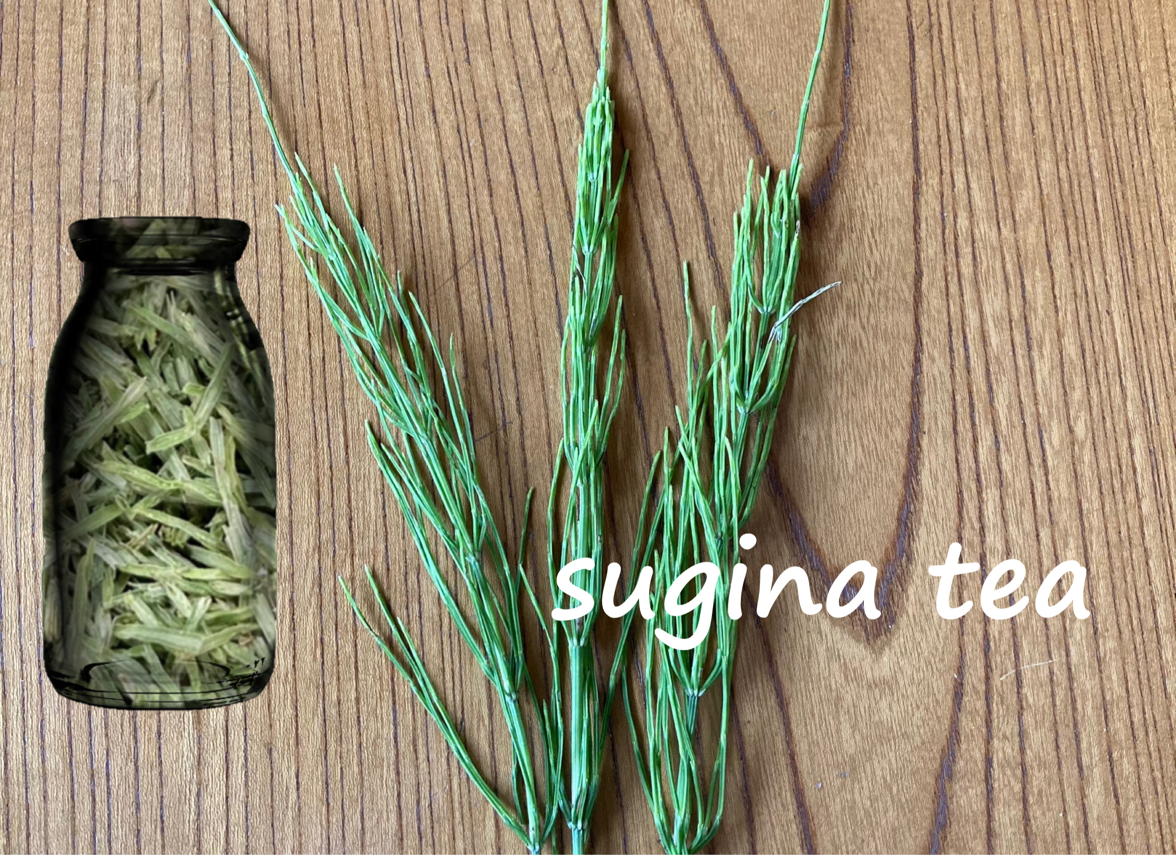 スギナ茶作りは収穫時期と場所選び 飲んで体に美味しい作り方 カオスなlifeブログ