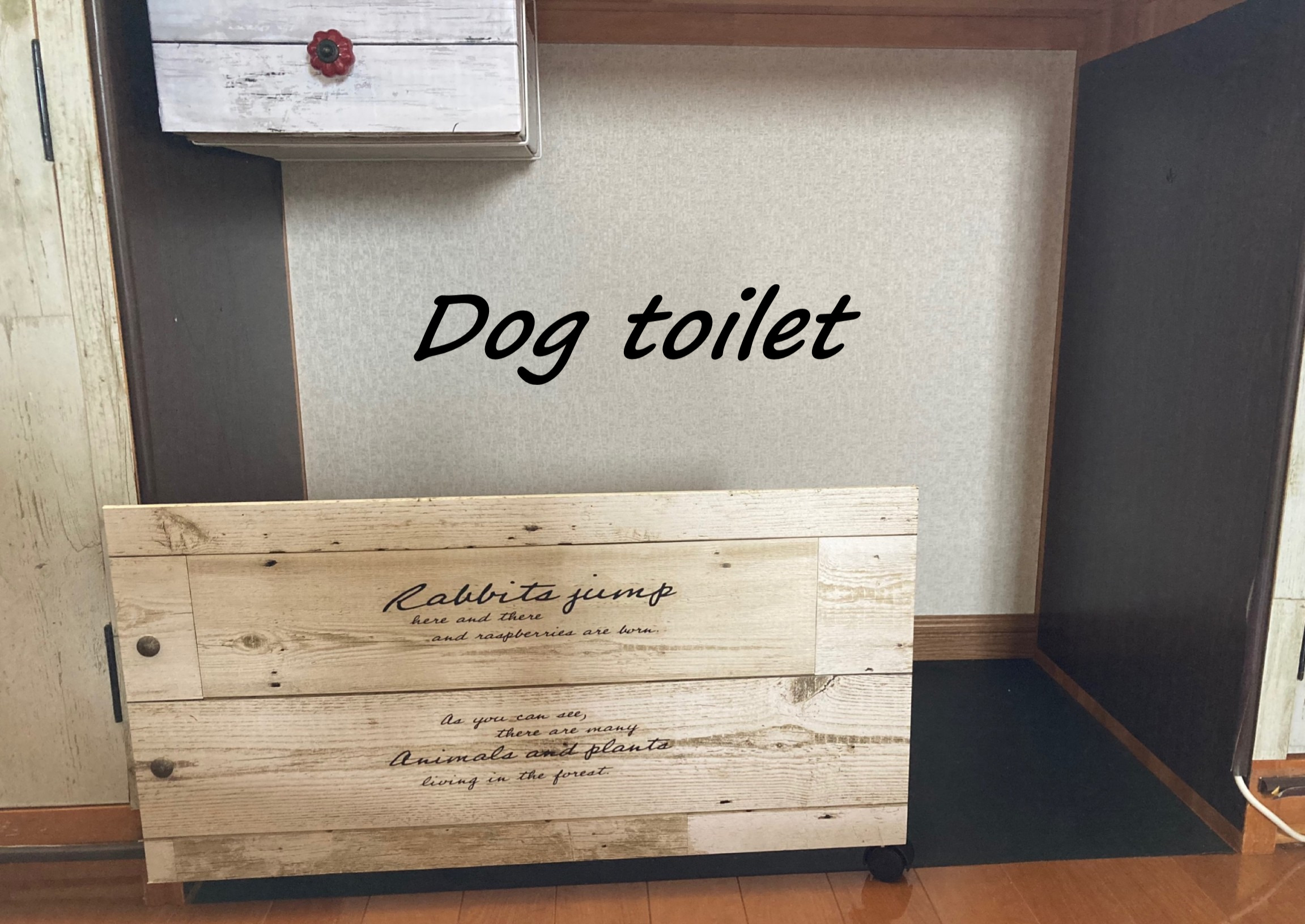 犬のトイレ リビングの場所でも悩まないコツと対策3つ カオスなlifeブログ